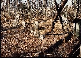 cemetery2